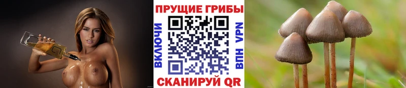 Псилоцибиновые грибы ЛСД  hydra онион  Балашов 