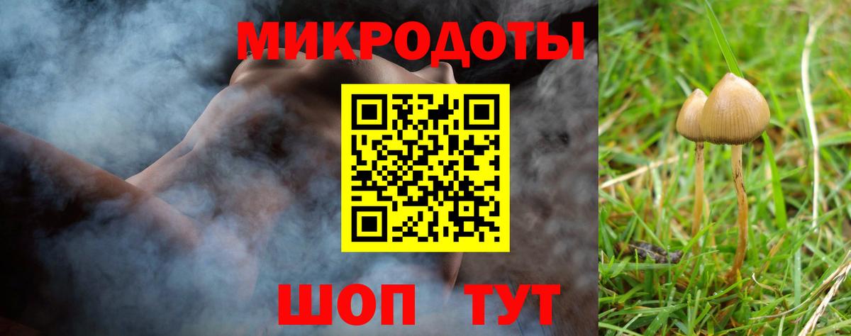 Галлюциногенные грибы GOLDEN TEACHER Балашов